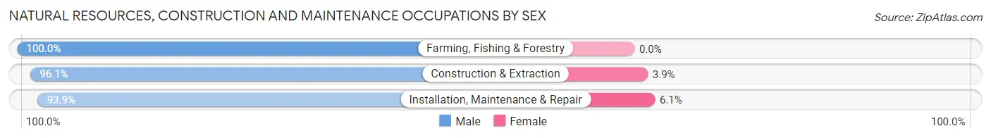 Natural Resources, Construction and Maintenance Occupations by Sex in Zip Code 22032
