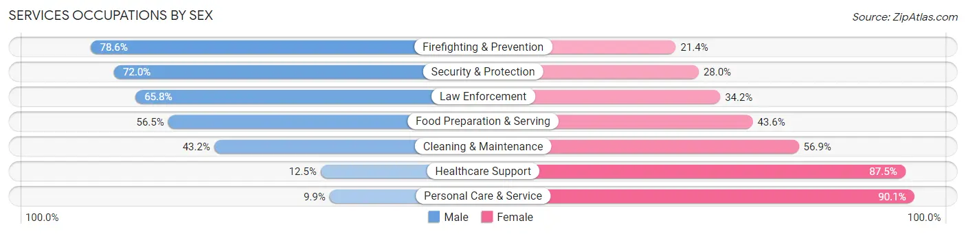 Services Occupations by Sex in Zip Code 22042