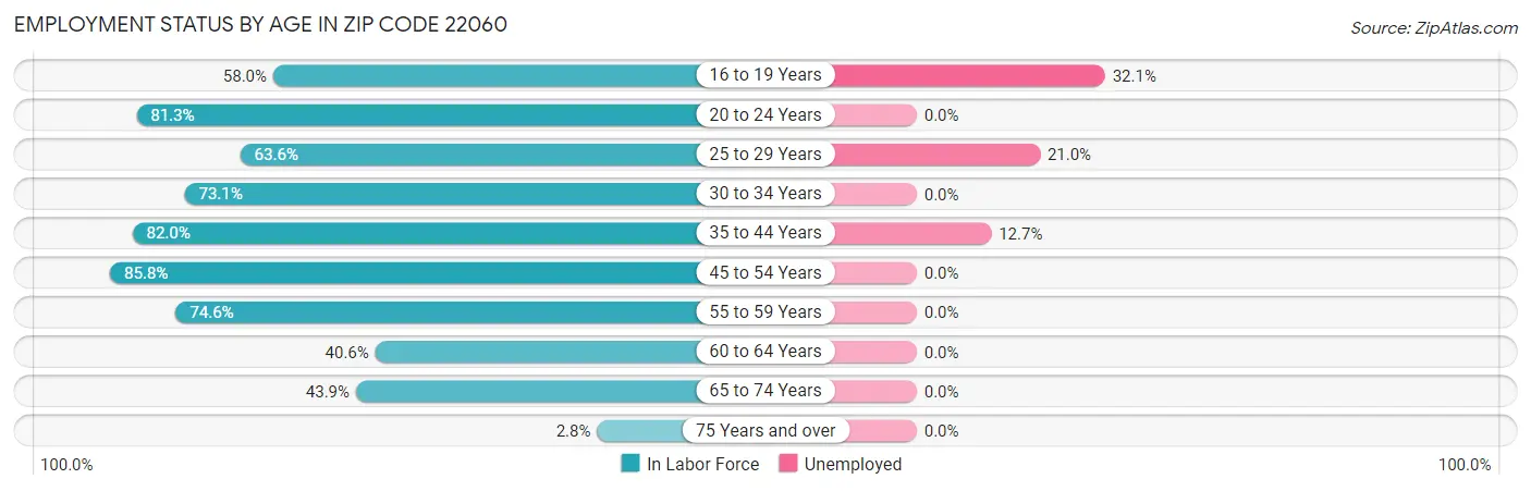 Employment Status by Age in Zip Code 22060