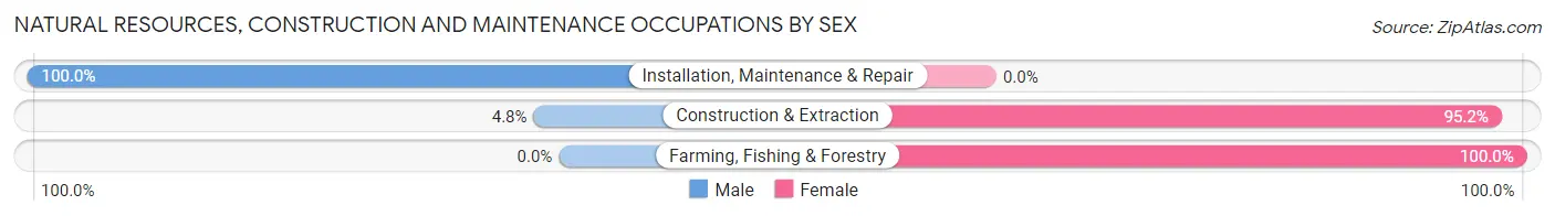 Natural Resources, Construction and Maintenance Occupations by Sex in Zip Code 22060