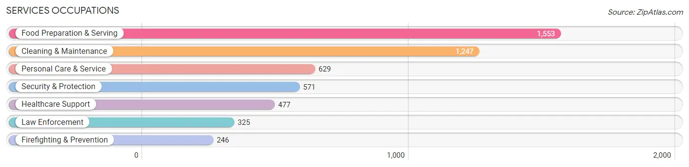 Services Occupations in Zip Code 22204