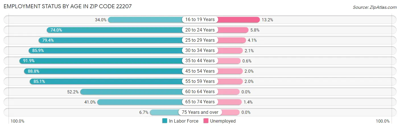 Employment Status by Age in Zip Code 22207
