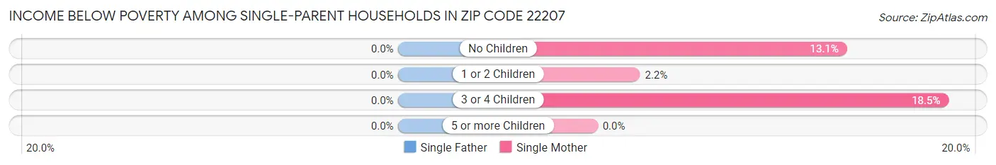 Income Below Poverty Among Single-Parent Households in Zip Code 22207