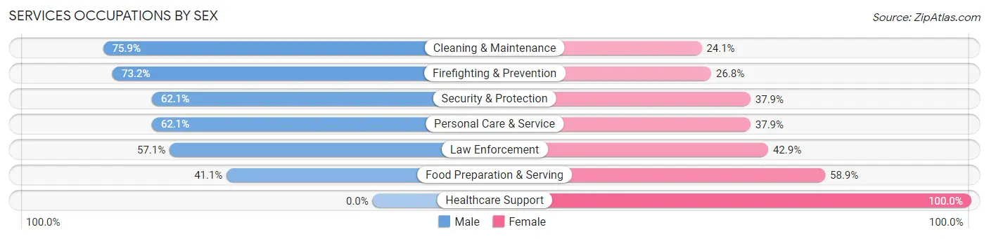 Services Occupations by Sex in Zip Code 22209
