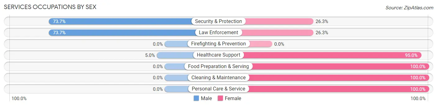 Services Occupations by Sex in Zip Code 22213