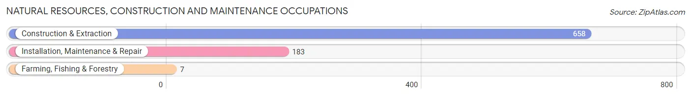 Natural Resources, Construction and Maintenance Occupations in Zip Code 22312