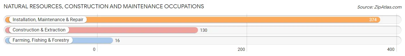 Natural Resources, Construction and Maintenance Occupations in Zip Code 22315