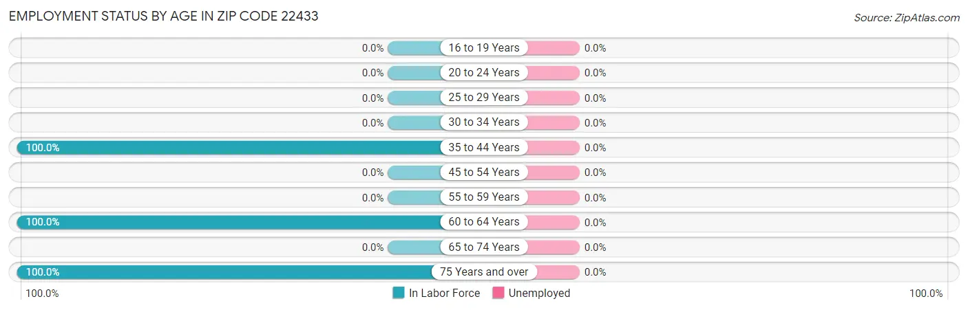 Employment Status by Age in Zip Code 22433