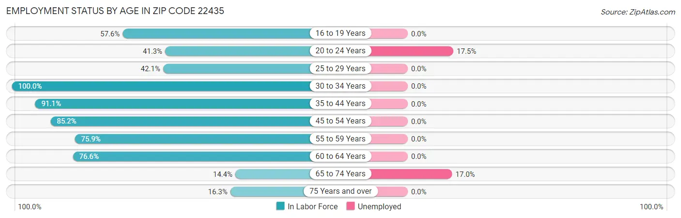 Employment Status by Age in Zip Code 22435