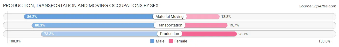 Production, Transportation and Moving Occupations by Sex in Zip Code 22485