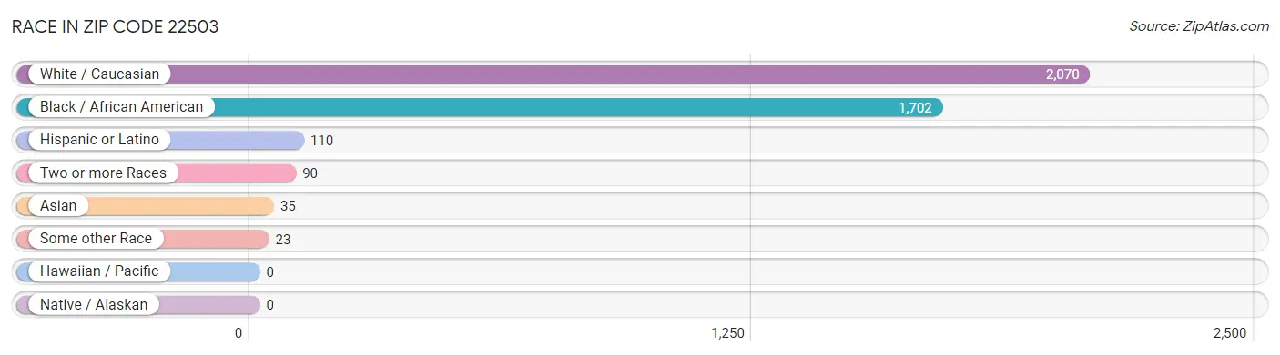 Race in Zip Code 22503
