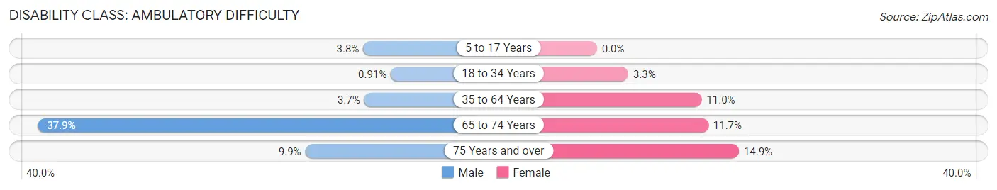 Disability in Zip Code 22508: <span>Ambulatory Difficulty</span>