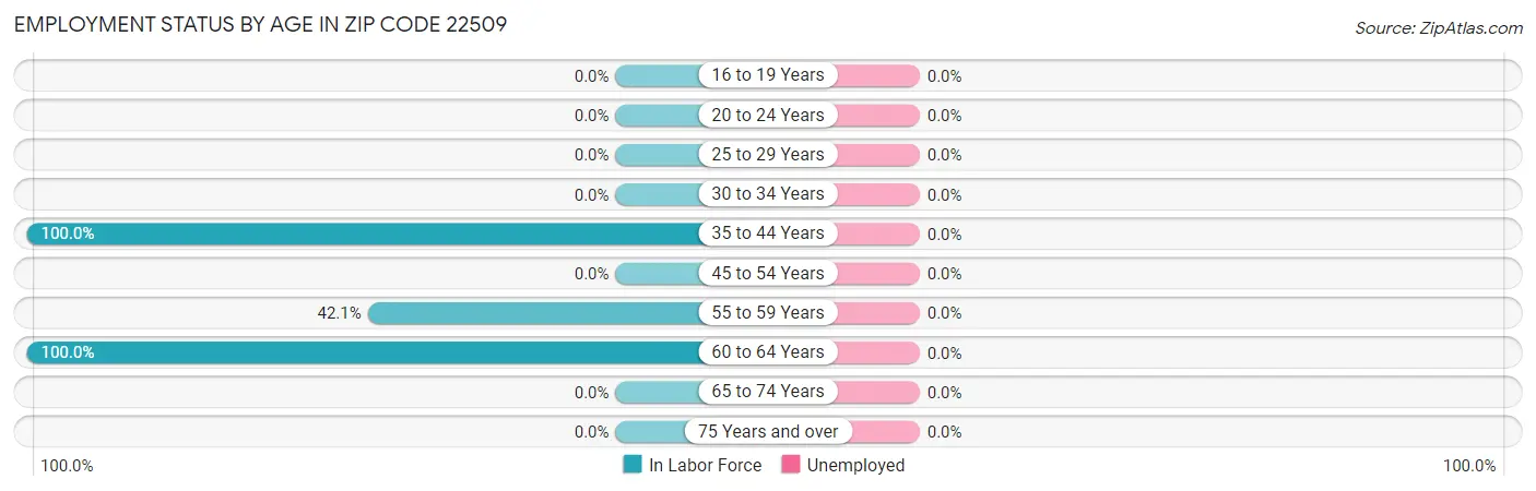 Employment Status by Age in Zip Code 22509