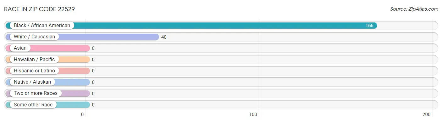 Race in Zip Code 22529