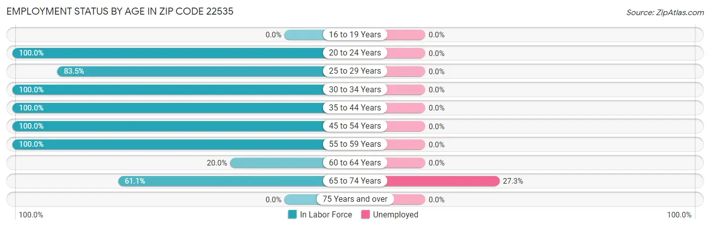 Employment Status by Age in Zip Code 22535