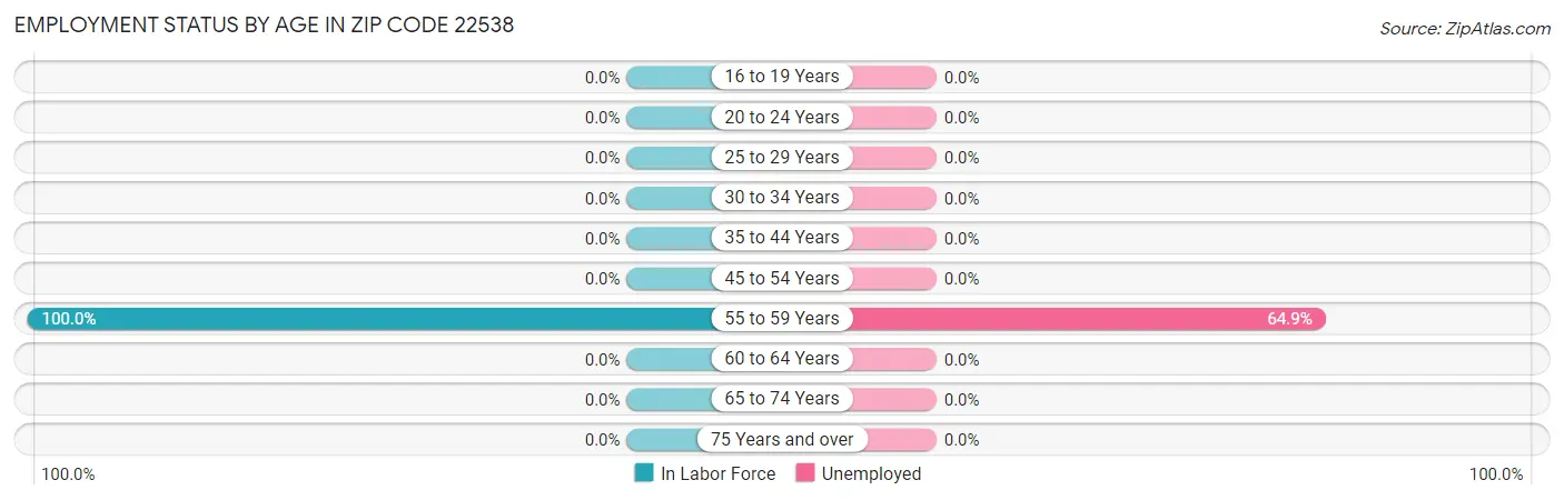 Employment Status by Age in Zip Code 22538