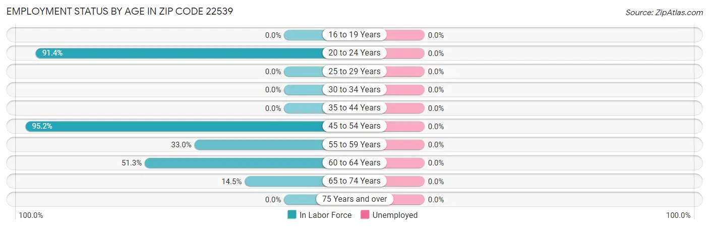 Employment Status by Age in Zip Code 22539