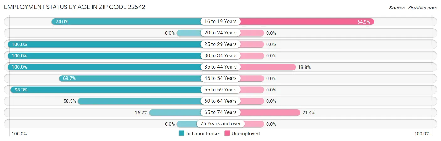Employment Status by Age in Zip Code 22542