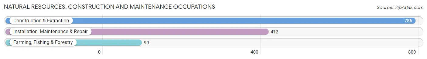 Natural Resources, Construction and Maintenance Occupations in Zip Code 22551