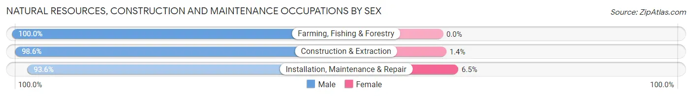 Natural Resources, Construction and Maintenance Occupations by Sex in Zip Code 22556