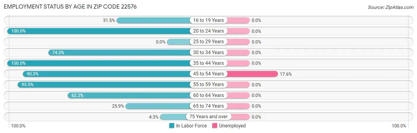 Employment Status by Age in Zip Code 22576
