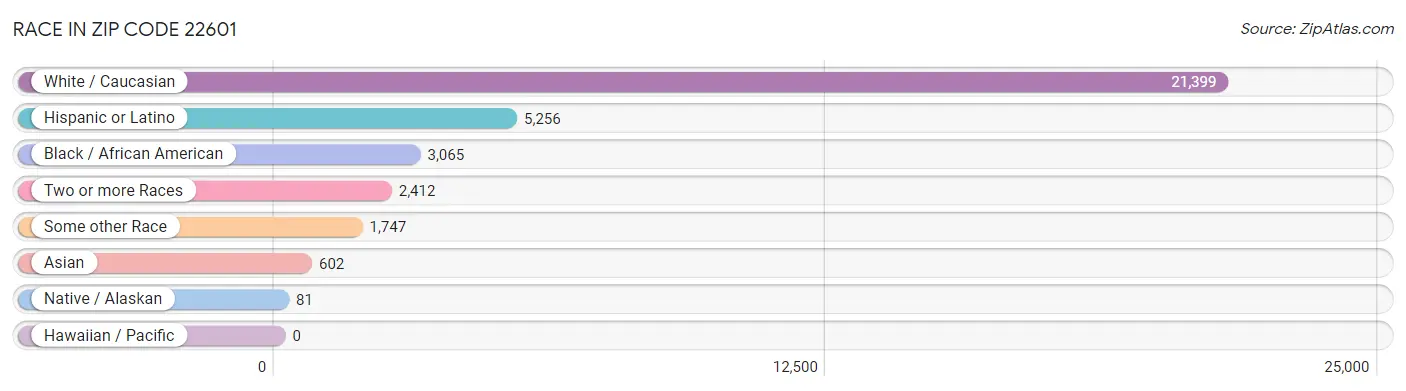 Race in Zip Code 22601