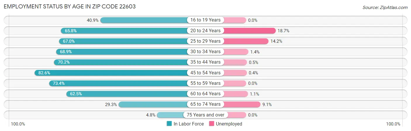 Employment Status by Age in Zip Code 22603