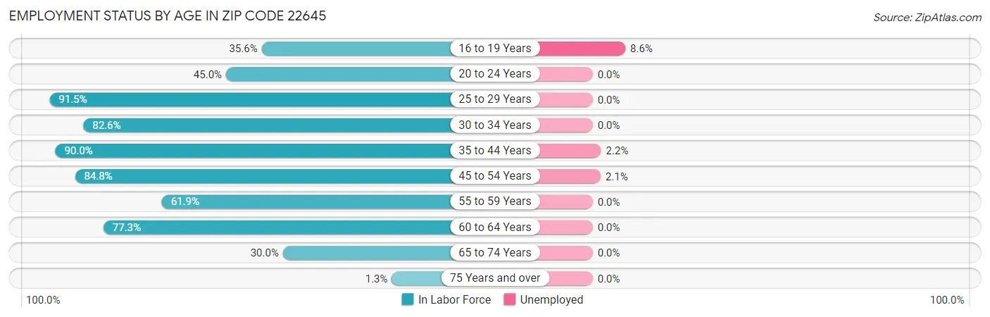 Employment Status by Age in Zip Code 22645