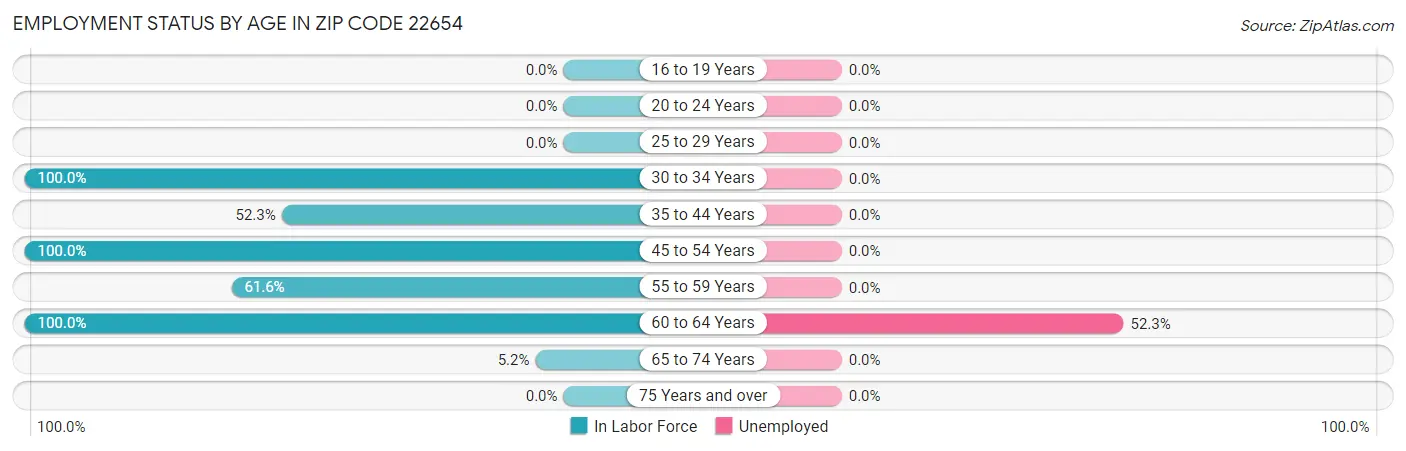 Employment Status by Age in Zip Code 22654