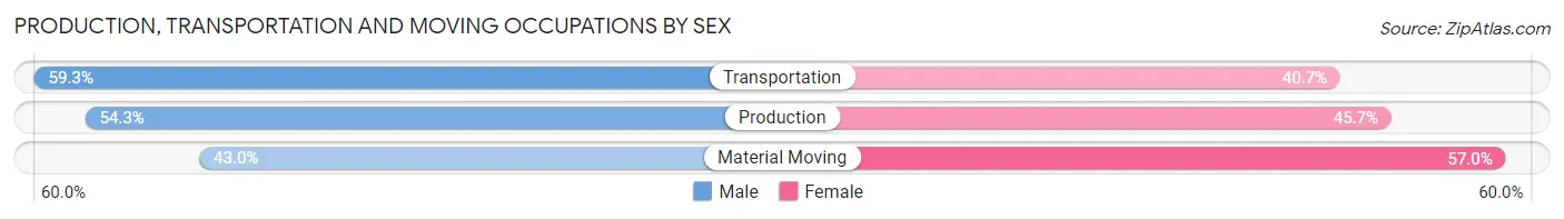 Production, Transportation and Moving Occupations by Sex in Zip Code 22656