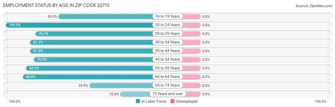 Employment Status by Age in Zip Code 22713