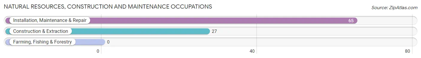 Natural Resources, Construction and Maintenance Occupations in Zip Code 22724