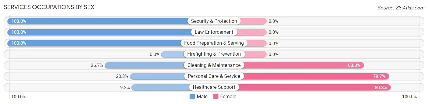 Services Occupations by Sex in Zip Code 22737