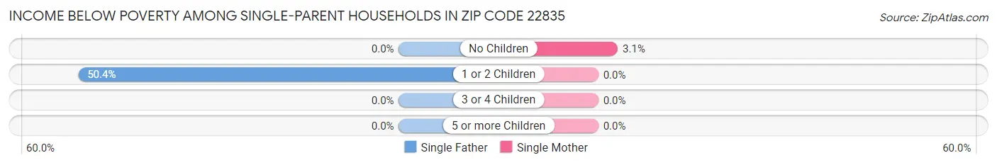 Income Below Poverty Among Single-Parent Households in Zip Code 22835