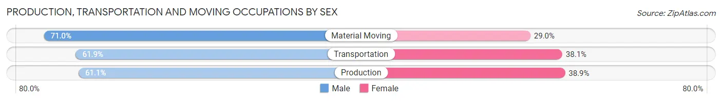 Production, Transportation and Moving Occupations by Sex in Zip Code 22835