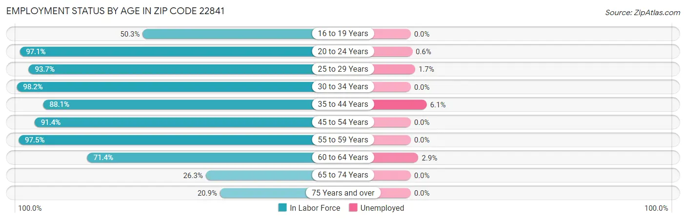 Employment Status by Age in Zip Code 22841