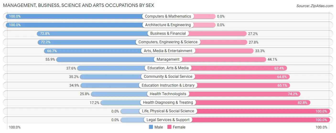 Management, Business, Science and Arts Occupations by Sex in Zip Code 22841