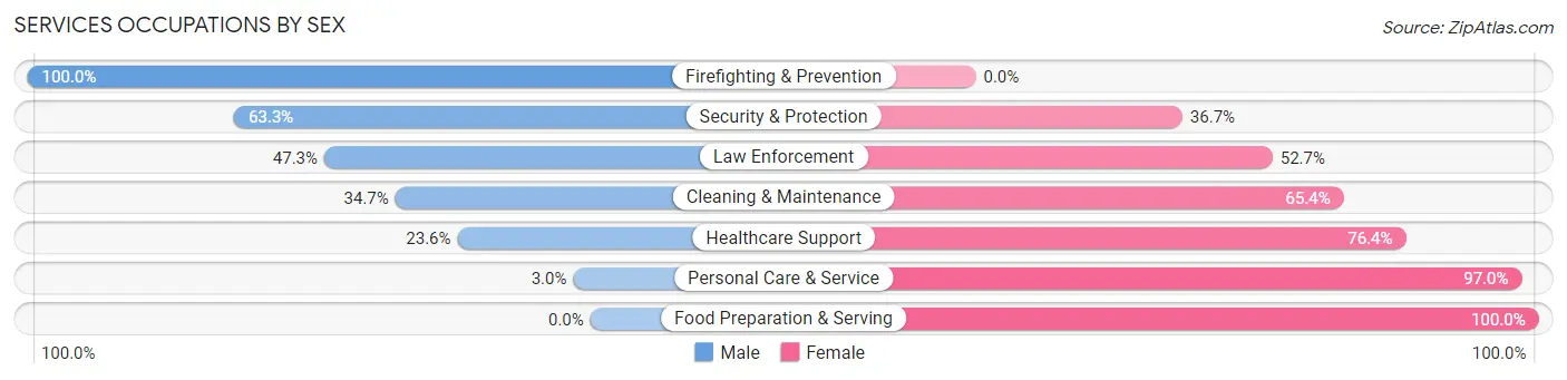 Services Occupations by Sex in Zip Code 22841