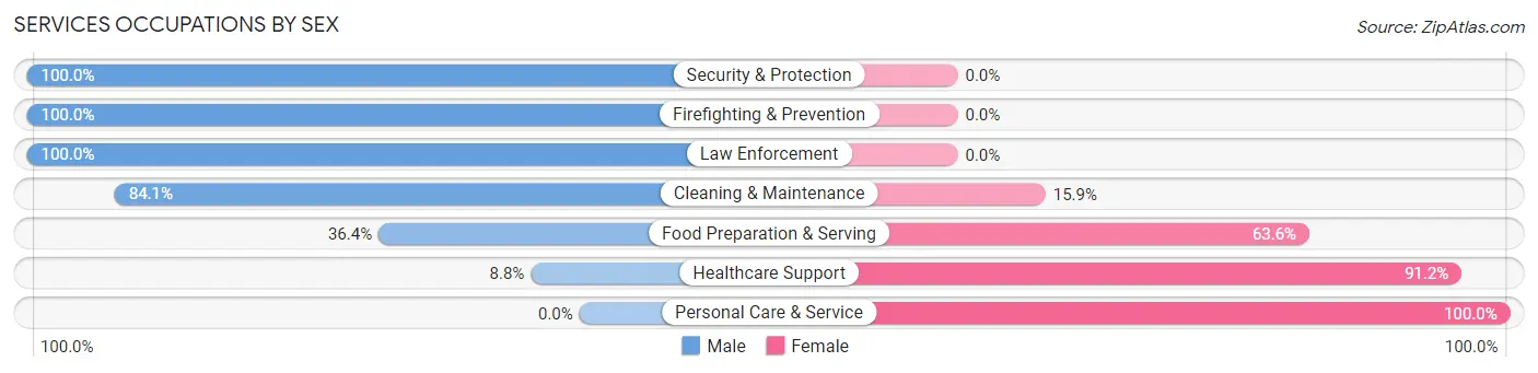 Services Occupations by Sex in Zip Code 22842