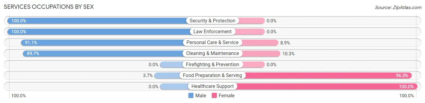 Services Occupations by Sex in Zip Code 22843
