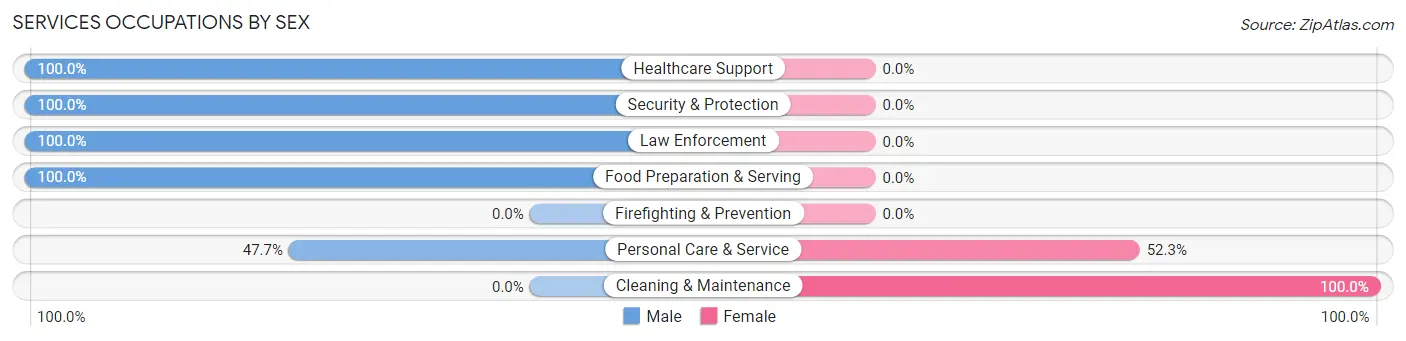Services Occupations by Sex in Zip Code 22846