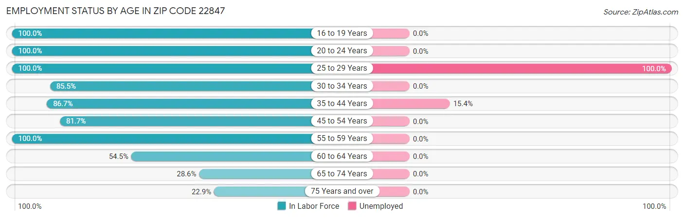 Employment Status by Age in Zip Code 22847
