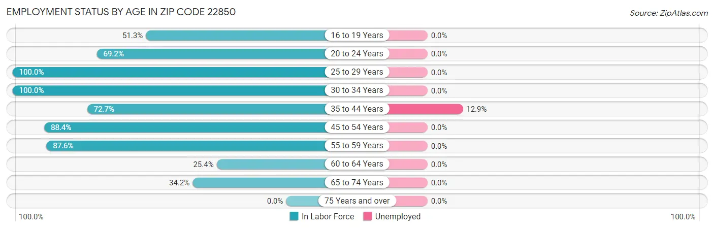 Employment Status by Age in Zip Code 22850
