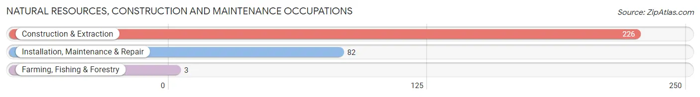 Natural Resources, Construction and Maintenance Occupations in Zip Code 22851