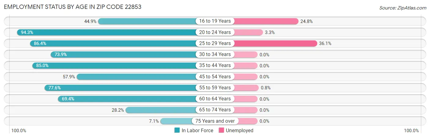 Employment Status by Age in Zip Code 22853