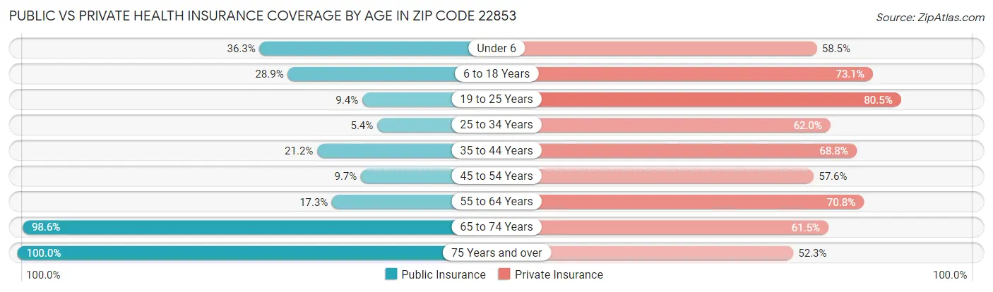 Public vs Private Health Insurance Coverage by Age in Zip Code 22853