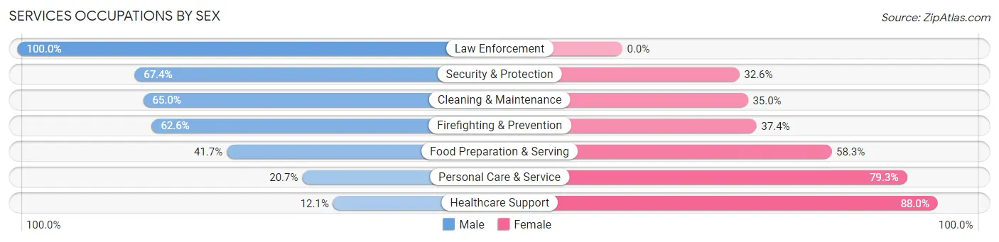 Services Occupations by Sex in Zip Code 22903