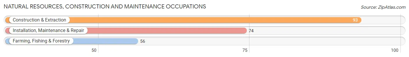 Natural Resources, Construction and Maintenance Occupations in Zip Code 22920