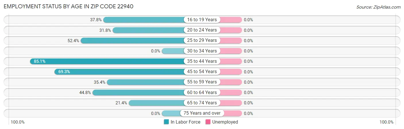 Employment Status by Age in Zip Code 22940
