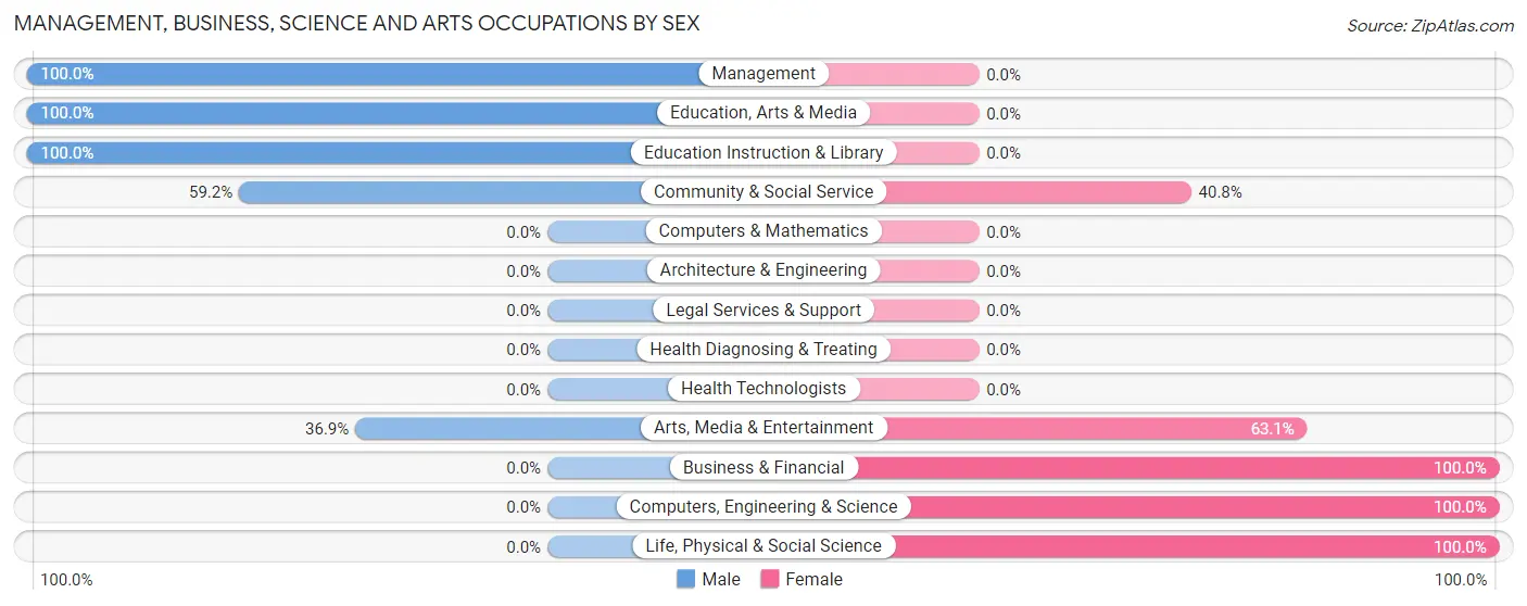 Management, Business, Science and Arts Occupations by Sex in Zip Code 22940